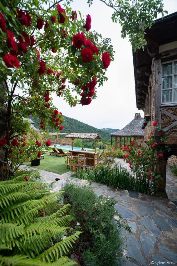 Chateau De Longcol Hotel La Fouillade ภายนอก รูปภาพ